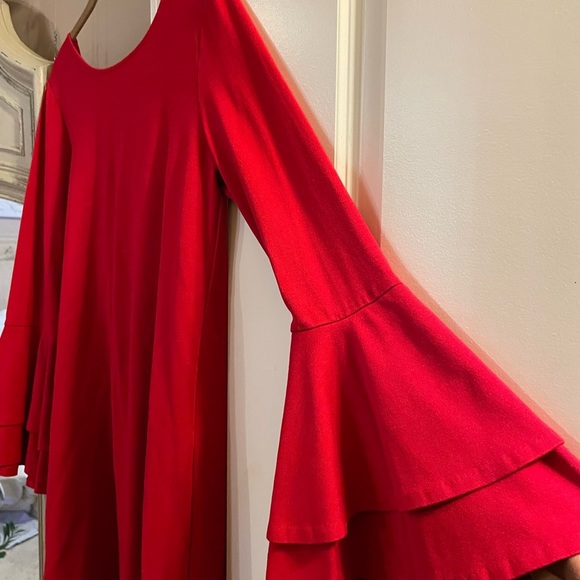 RED A-Line Dress Large - Picture 2 of 9
